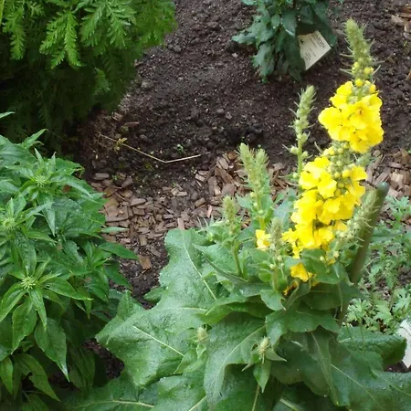 Ferienbauernhof Beer Séjour à la ferme