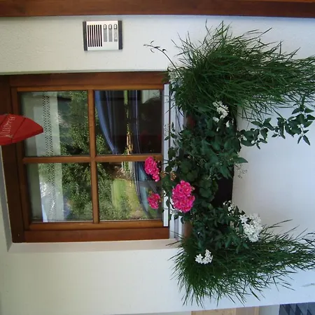 Ferienbauernhof Beer Farma Schoppernau