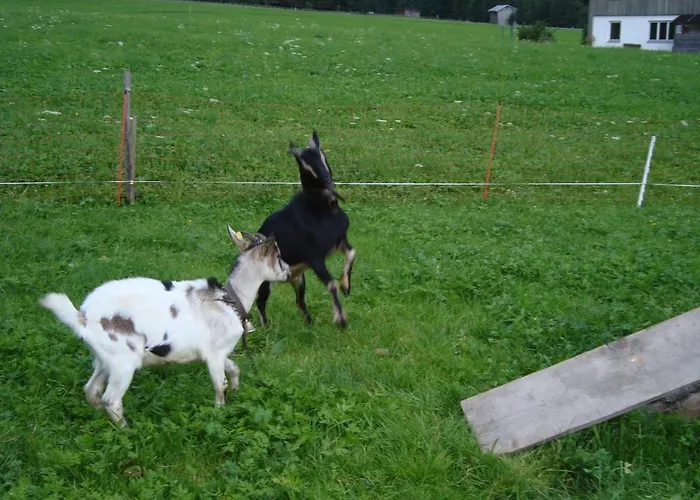 Ferienbauernhof Beer *